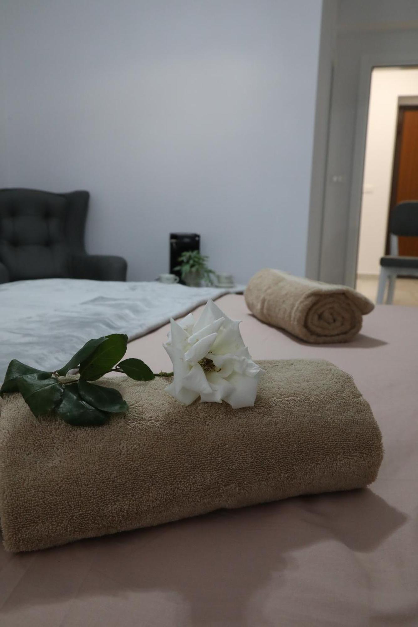 Rozafa Guest Room Center Shkodër Exteriör bild